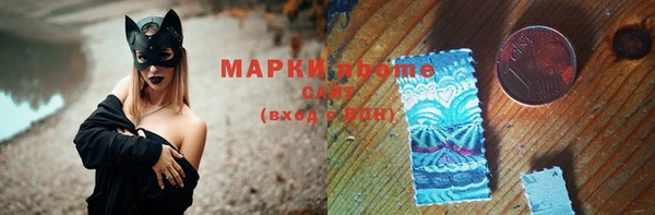 прущие грибы Бородино