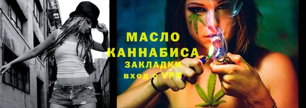 прущие грибы Бородино
