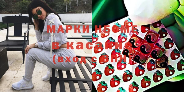 прущие грибы Бородино