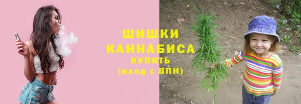 прущие грибы Бородино