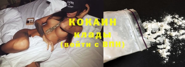 прущие грибы Бородино