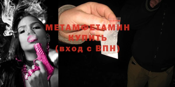 прущие грибы Бородино