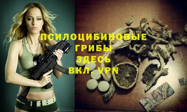 прущие грибы Бородино
