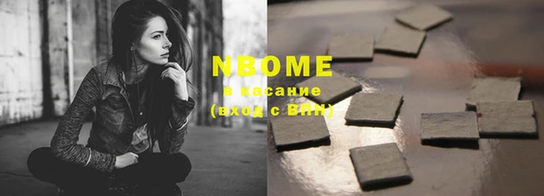 прущие грибы Бородино