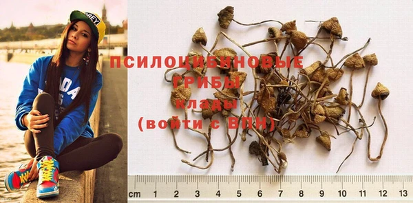 2c-b Бугульма