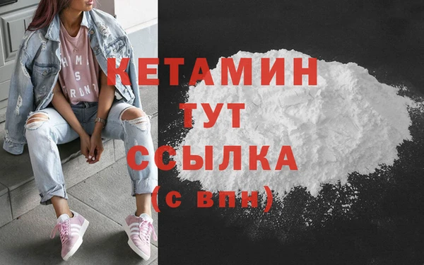 прущие грибы Бородино