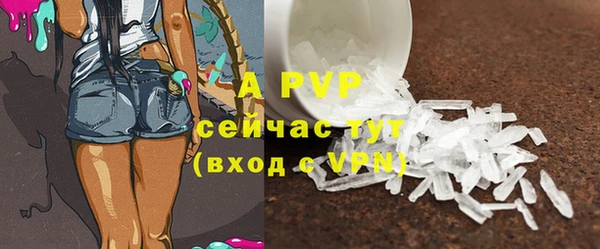 прущие грибы Бородино