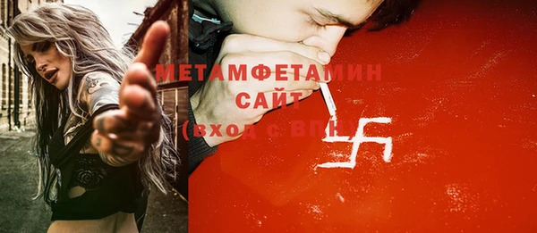 прущие грибы Бородино