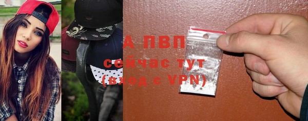 прущие грибы Бородино