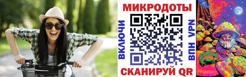 Купить закладки  Верхний Тагил  Галлюциногенные грибы мухоморы 